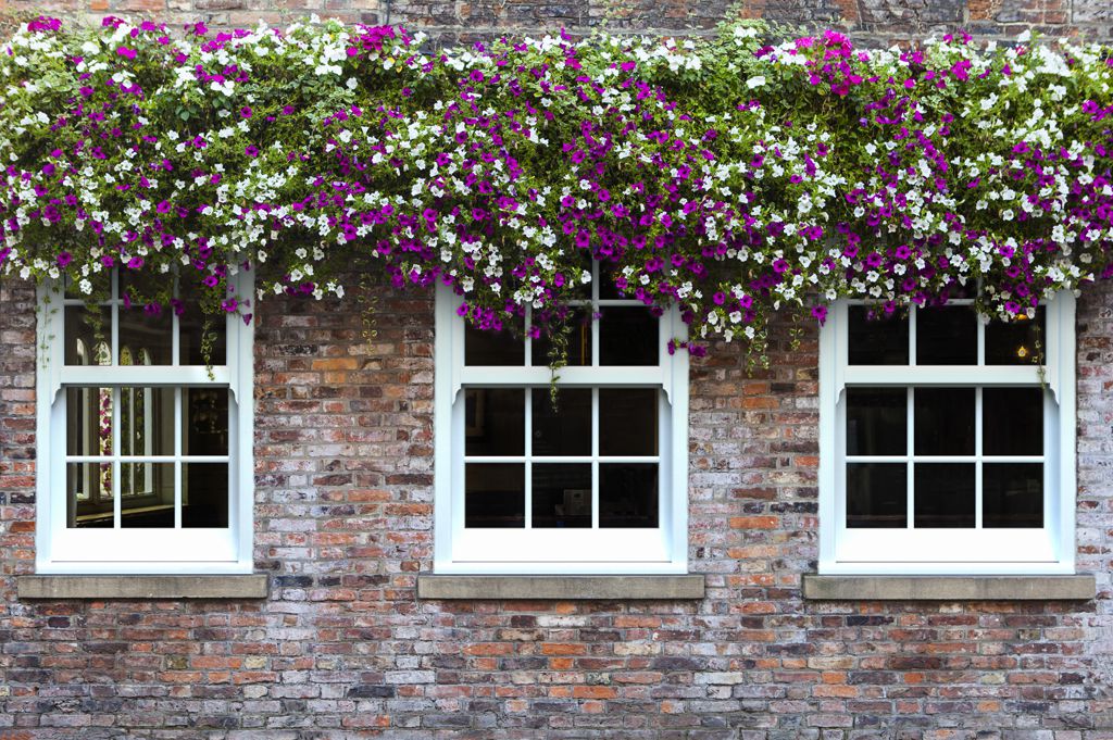traditional sliding sash windows