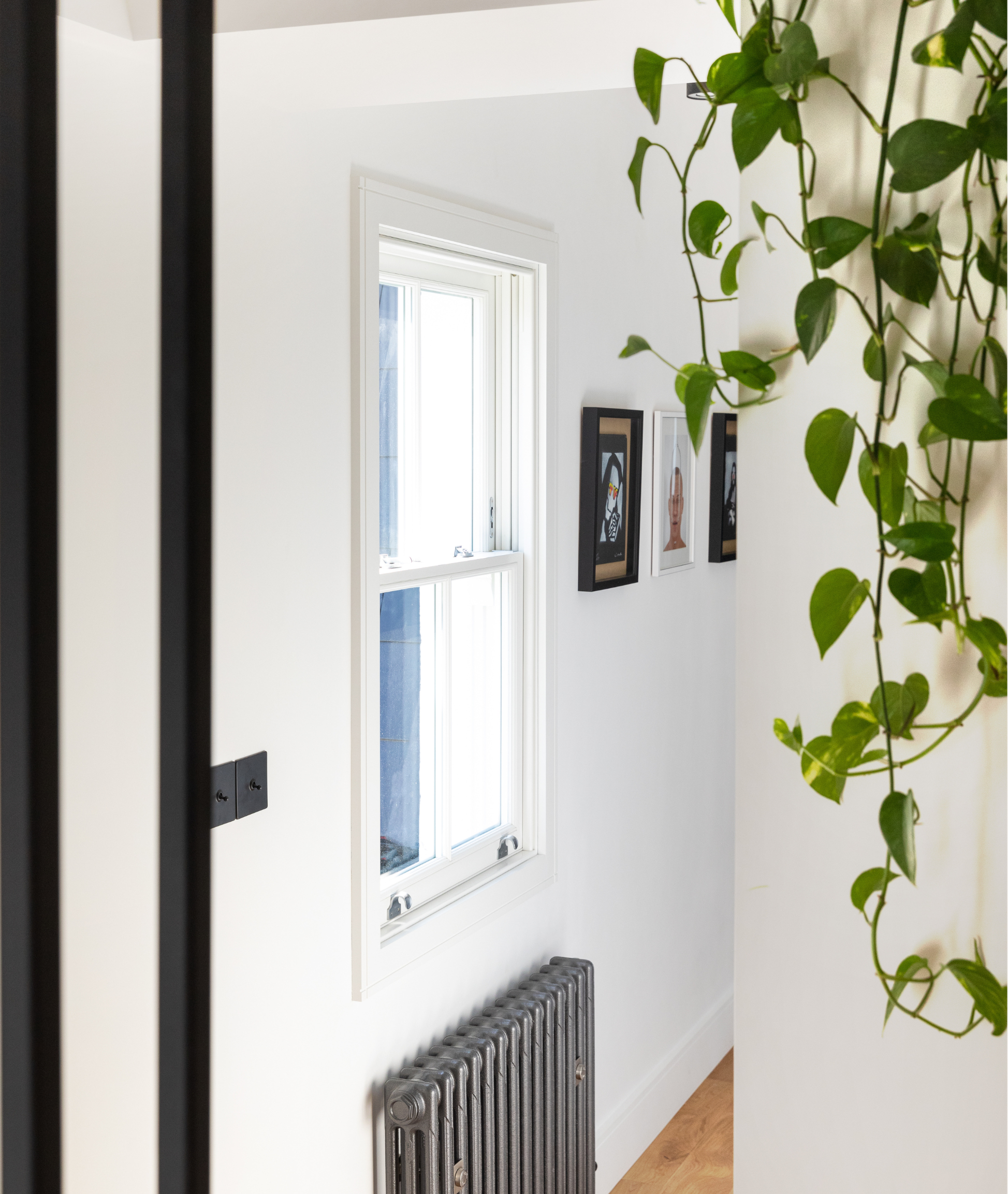 Sash Windows Clapham 3
